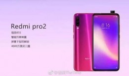 红米近期爆料是真的吗视频,红米近期爆料视频真实性揭秘