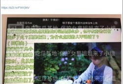 马德兴爆料李可欣视频,揭秘娱乐圈不为人知的一面
