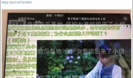 马德兴爆料李可欣视频,揭秘娱乐圈不为人知的一面