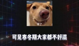 吃瓜娱乐八卦最新消息,明星恋情、丑闻大揭秘！
